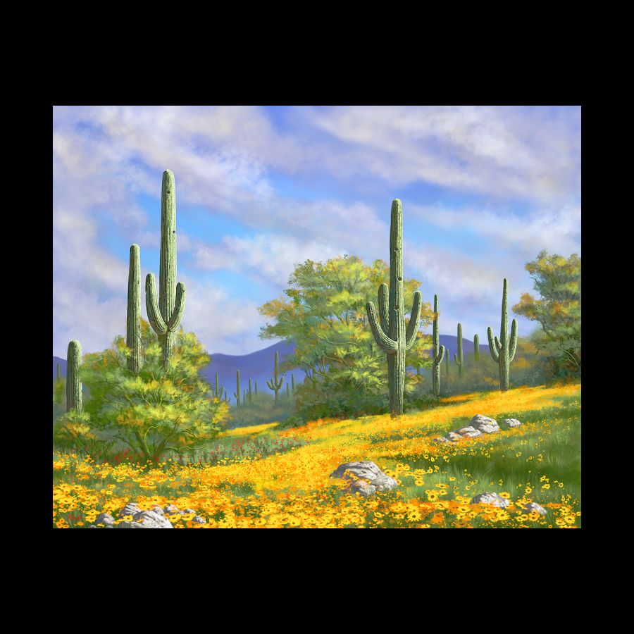 Spring In Arizona
